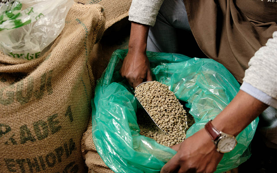 取り扱うコーヒー生豆の種類